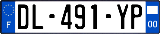 DL-491-YP