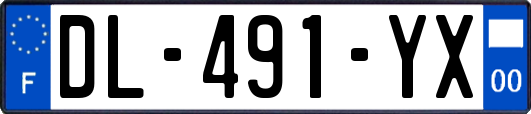 DL-491-YX