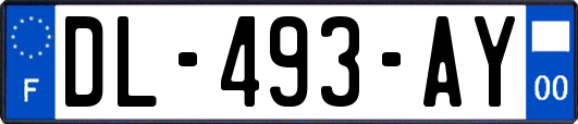 DL-493-AY