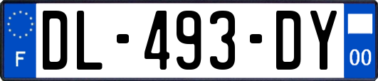 DL-493-DY