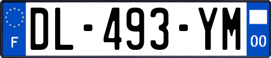 DL-493-YM