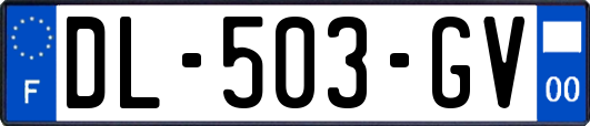 DL-503-GV