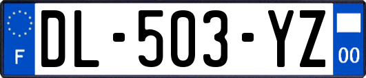 DL-503-YZ