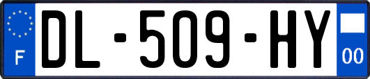 DL-509-HY