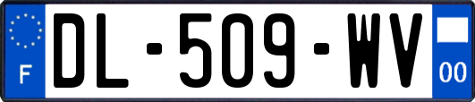 DL-509-WV