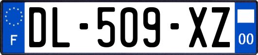 DL-509-XZ