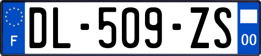 DL-509-ZS