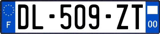 DL-509-ZT