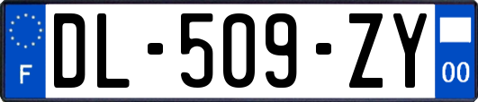 DL-509-ZY