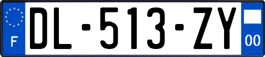 DL-513-ZY