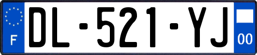 DL-521-YJ