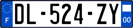 DL-524-ZY