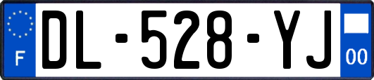 DL-528-YJ