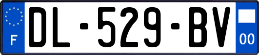 DL-529-BV