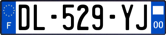 DL-529-YJ