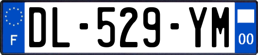 DL-529-YM