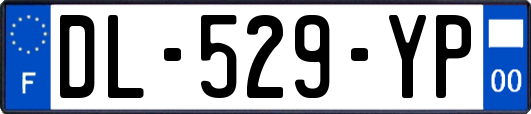 DL-529-YP
