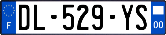 DL-529-YS