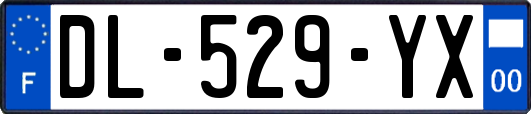 DL-529-YX