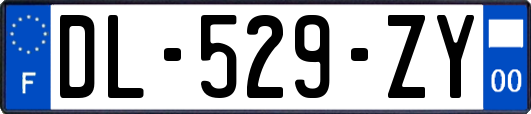 DL-529-ZY