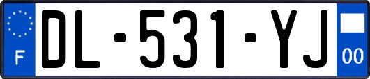 DL-531-YJ