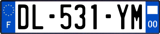 DL-531-YM