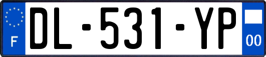 DL-531-YP