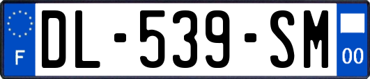 DL-539-SM