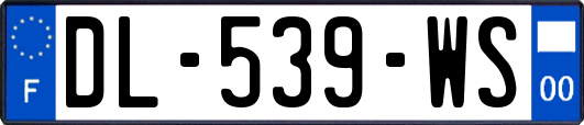 DL-539-WS