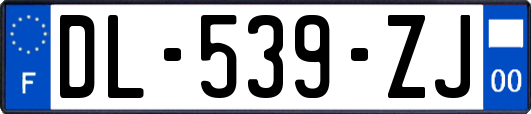 DL-539-ZJ