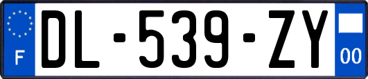 DL-539-ZY