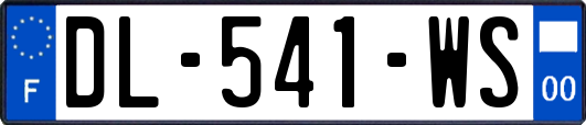 DL-541-WS