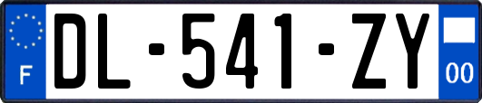 DL-541-ZY