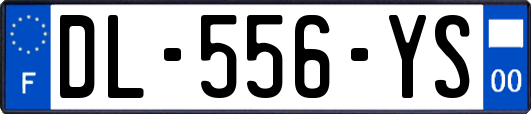 DL-556-YS