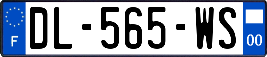 DL-565-WS