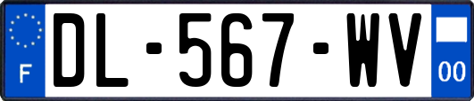 DL-567-WV