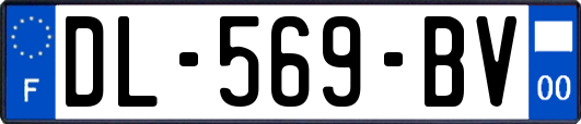 DL-569-BV