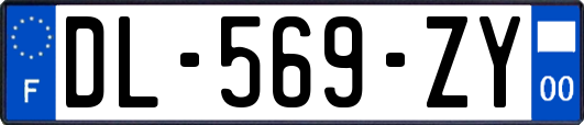 DL-569-ZY