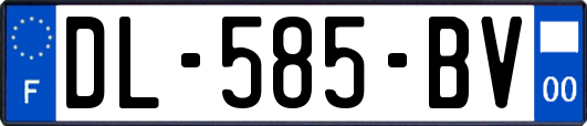 DL-585-BV