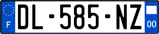 DL-585-NZ