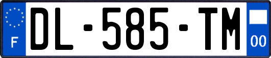 DL-585-TM