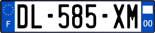 DL-585-XM