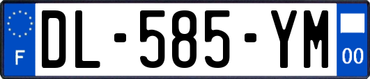 DL-585-YM