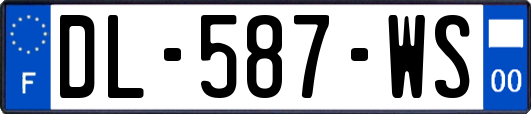 DL-587-WS