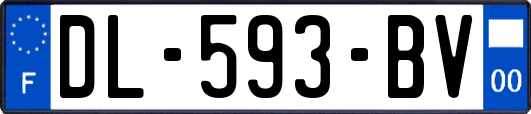 DL-593-BV