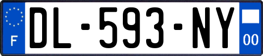 DL-593-NY