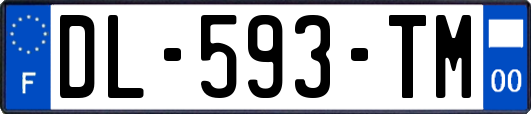 DL-593-TM