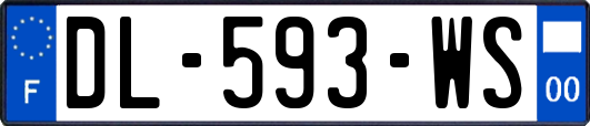 DL-593-WS