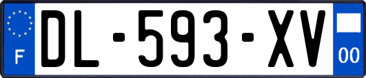 DL-593-XV