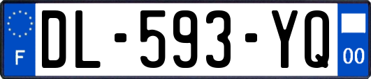 DL-593-YQ